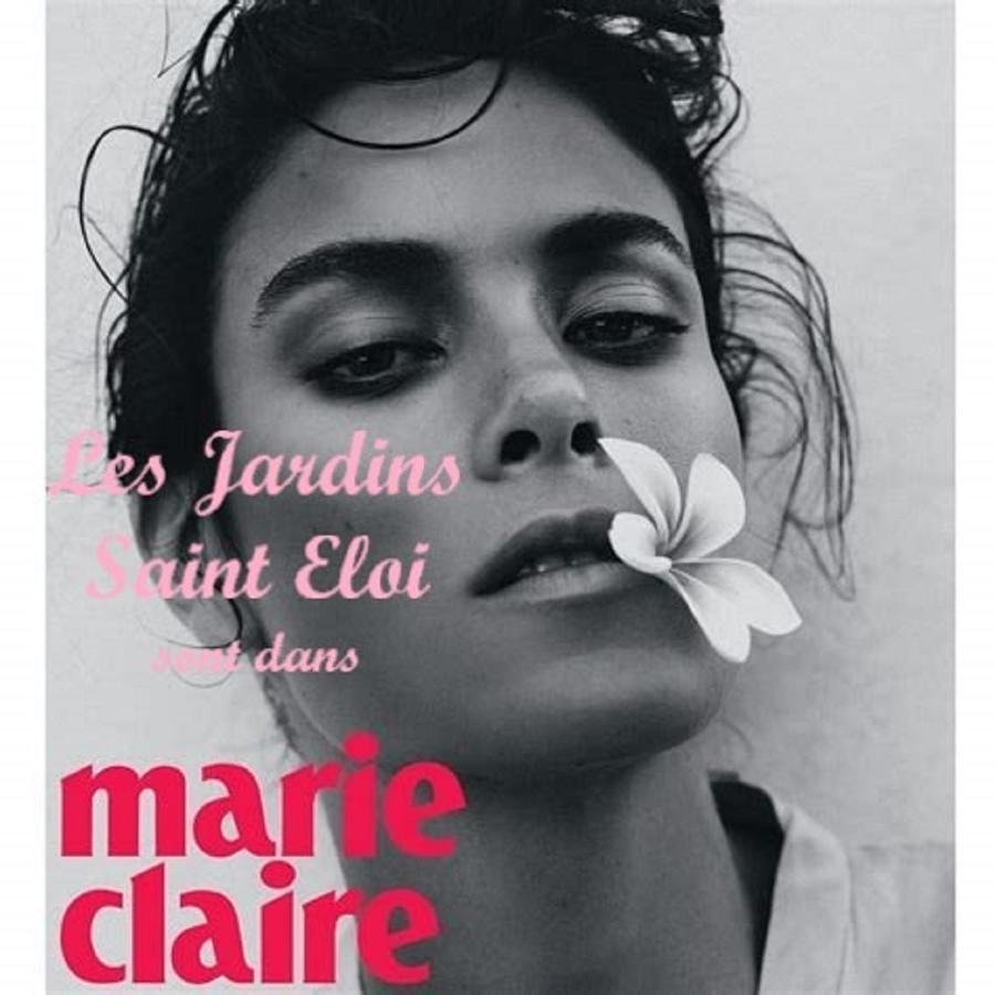 Le Lonzac Maison D'Hotes Les Jardins Saint Eloi מראה חיצוני תמונה